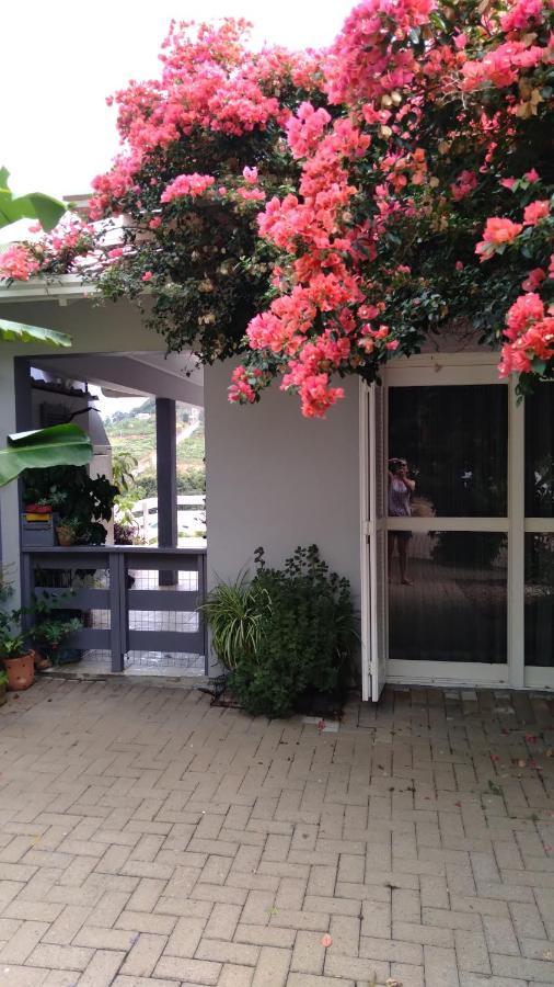 Casa Deni Villa โนวา เปโตรโปลิส ภายนอก รูปภาพ