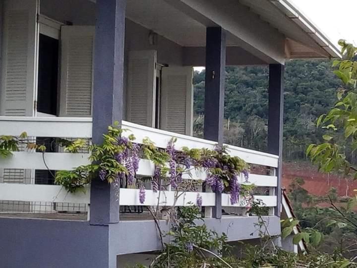 Casa Deni Villa โนวา เปโตรโปลิส ภายนอก รูปภาพ